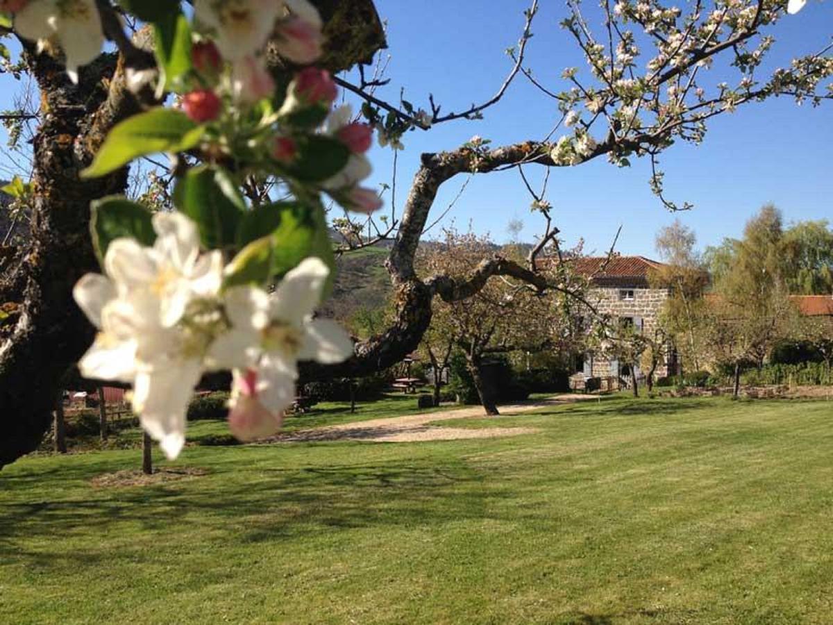 Les Jardins D'Anna - Chambres D'Hotes Tapon Eksteriør bilde